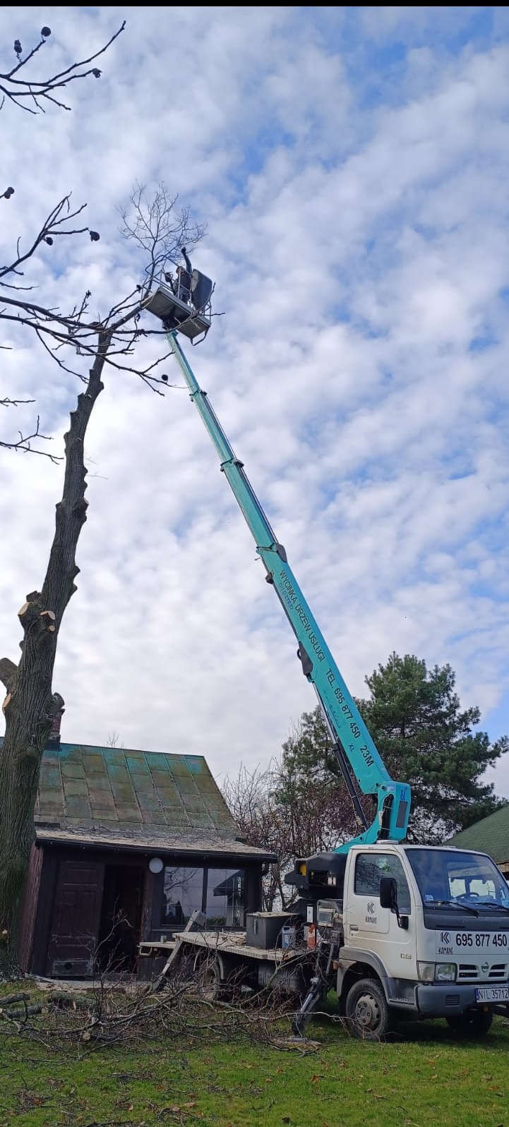 Kosz podnośnika z pracownikiem przy koronie drzewa, obok mały domek, w tle błękitne niebo z chmurami. Na podnośniku widoczny numer telefonu.