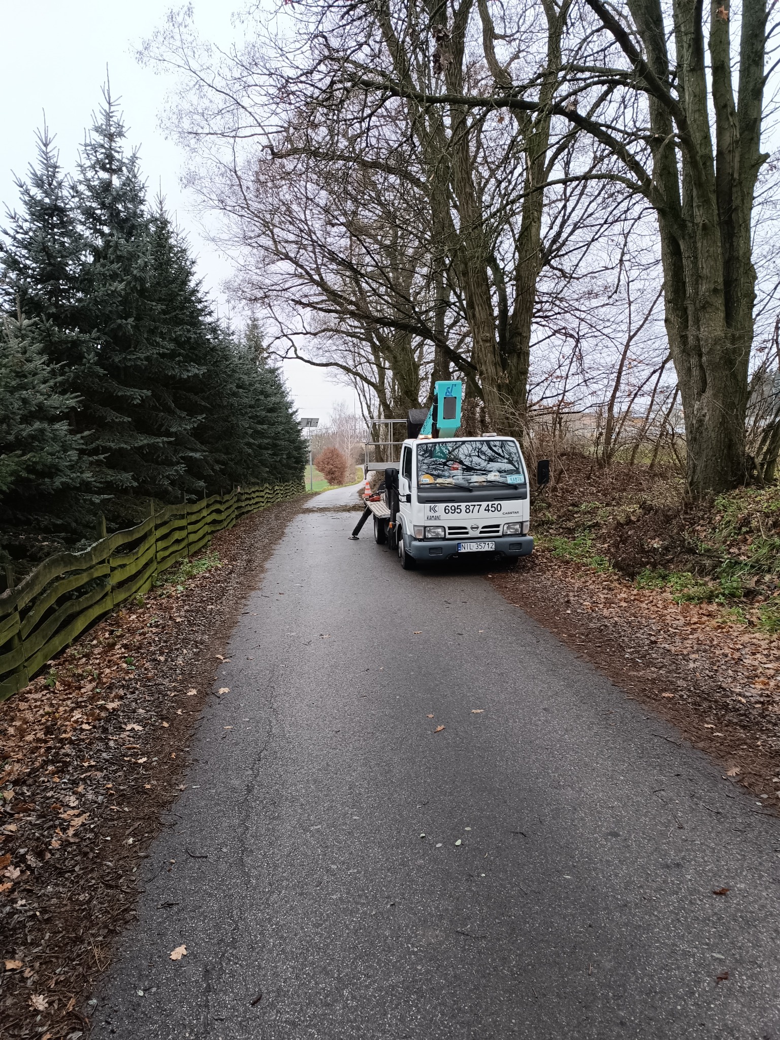 Usuwanie gałęzi wchodzących w drogę gminną