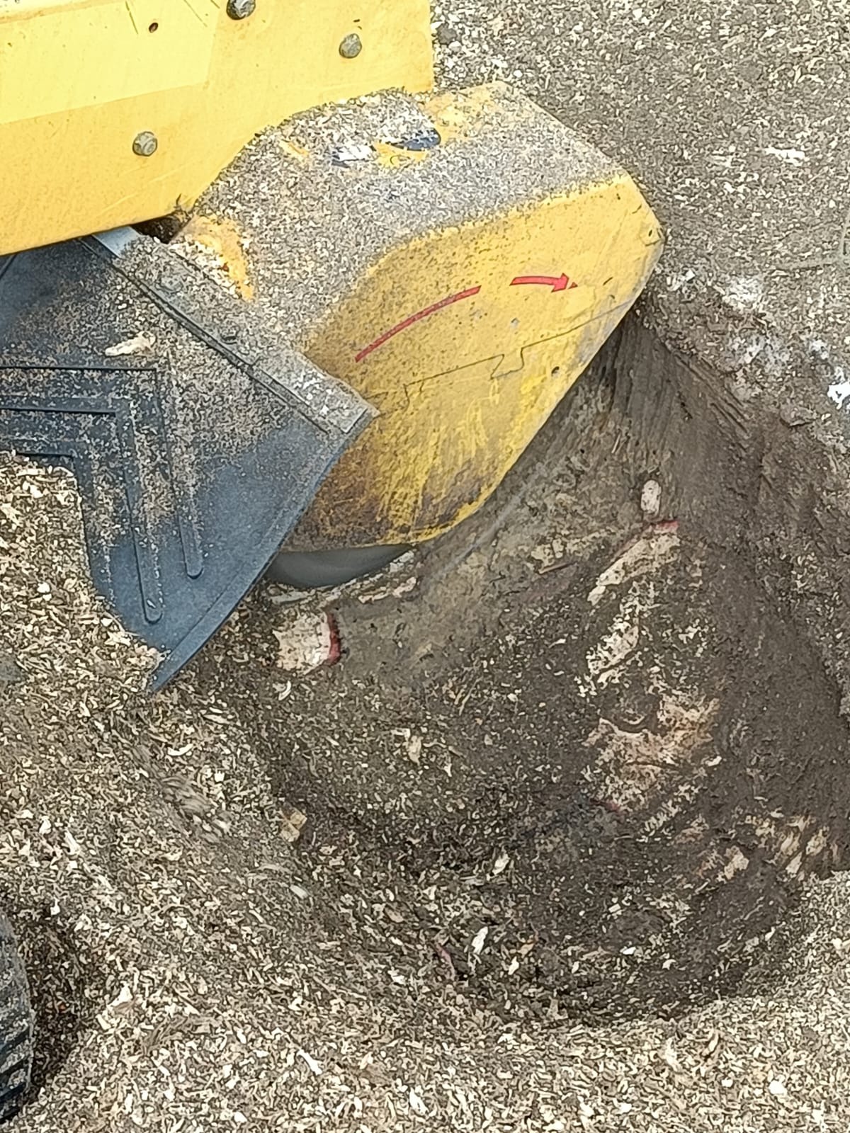 Frezarka do pni w trakcie pracy, usuwająca pozostałości po wycince drzewa. Wokół maszyny widoczne wióry i ziemia.