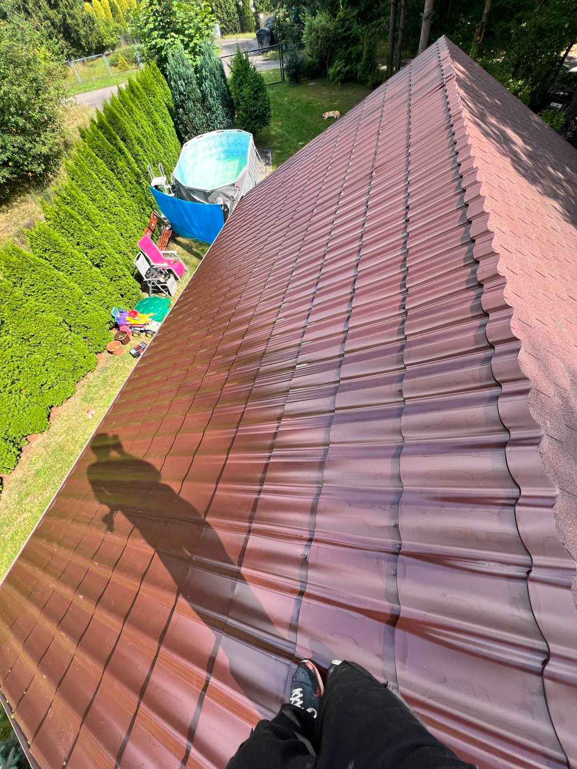 Czerwono-brązowy dach z blachy trapezowej w ukośnym ujęciu, cień osoby na dachu, w tle basen i zielone tuje. Widok z góry na nowo położony dach.