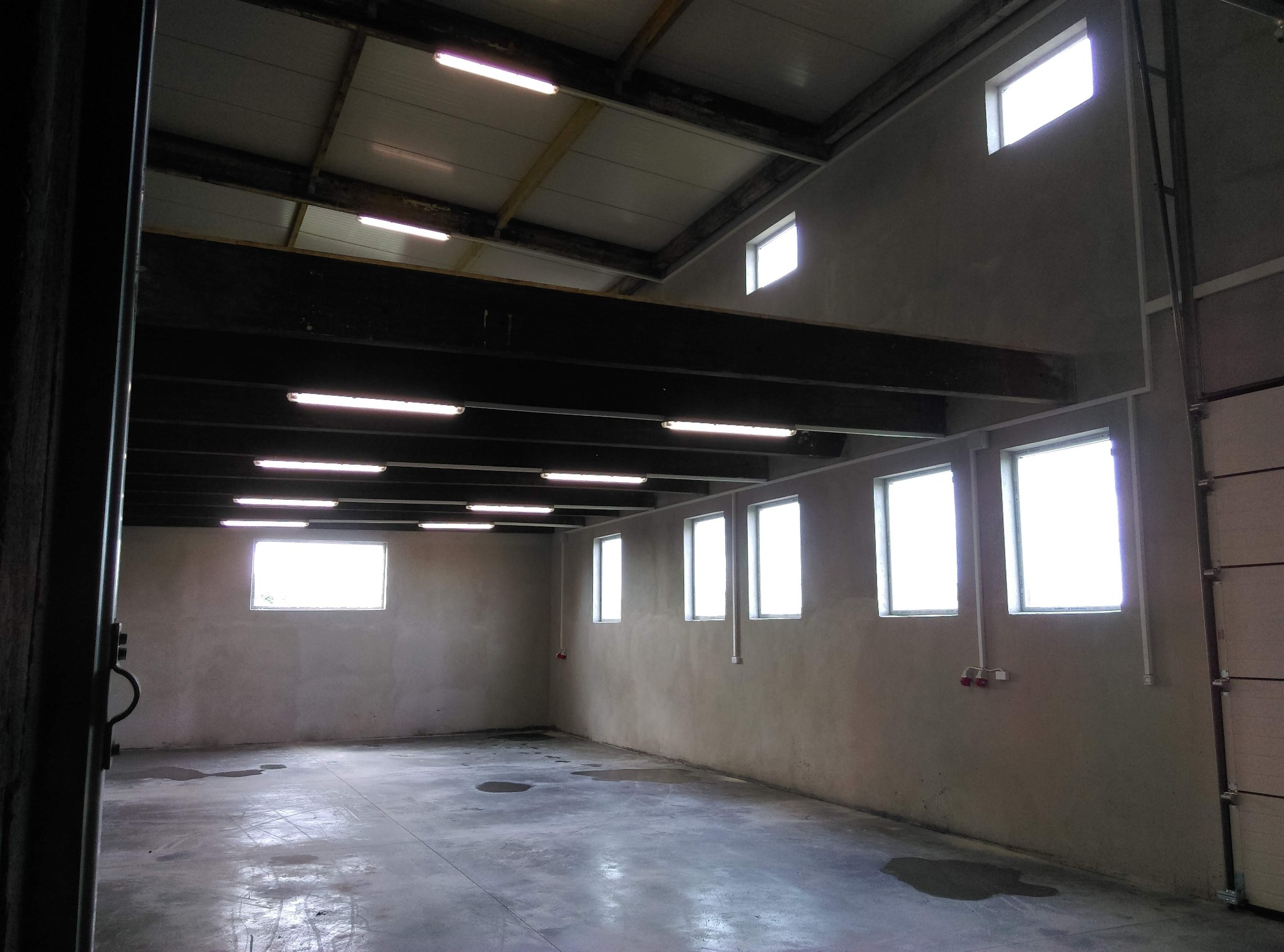 Wnętrze hali magazynowej z oknami i zamontowanym oświetleniem liniowym pod sufitem. Widoczne gniazdka elektryczne na ścianie. Betonowa posadzka.