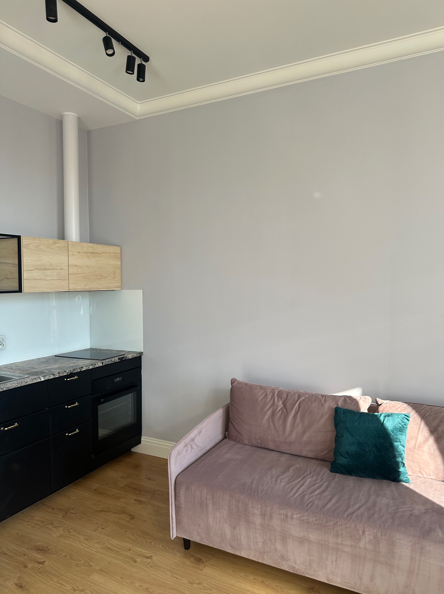 Jasne wnętrze: czarna zabudowa kuchenna z drewnianymi szafkami wiszącymi, różowa sofa z zieloną poduszką, parkiet i szara ściana. Minimalistyczny design.