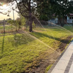 Automatyczne nawadnianie trawnika w ogrodzie, woda rozpryskuje się z dysz, w tle drzewa i dom. System nawadniania w akcji, równomierne podlewanie trawy.