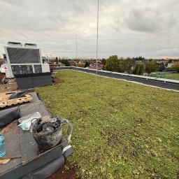 Pielęgnacja ogrodów Warszawa 1