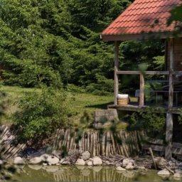 Freedom nieruchomości Białystok Mickiewicza - Drewniany domek letniskowy z czerwonym dachem, otoczony zielenią lasu i wodą. Widok zza drzew, w tle gęsty las. Na werandzie wiklinowy kosz.