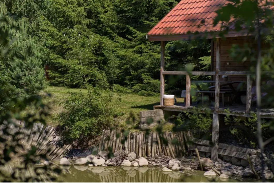 Drewniany domek letniskowy z czerwonym dachem, otoczony zielenią lasu i wodą. Widok zza drzew, w tle gęsty las. Na werandzie wiklinowy kosz.