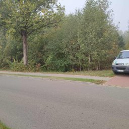 Wycinka drzew Nowe Miasto 2