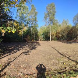 Wycinka drzew Nowe Miasto 1