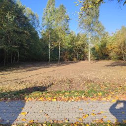 Wycinka drzew Nowe Miasto 4