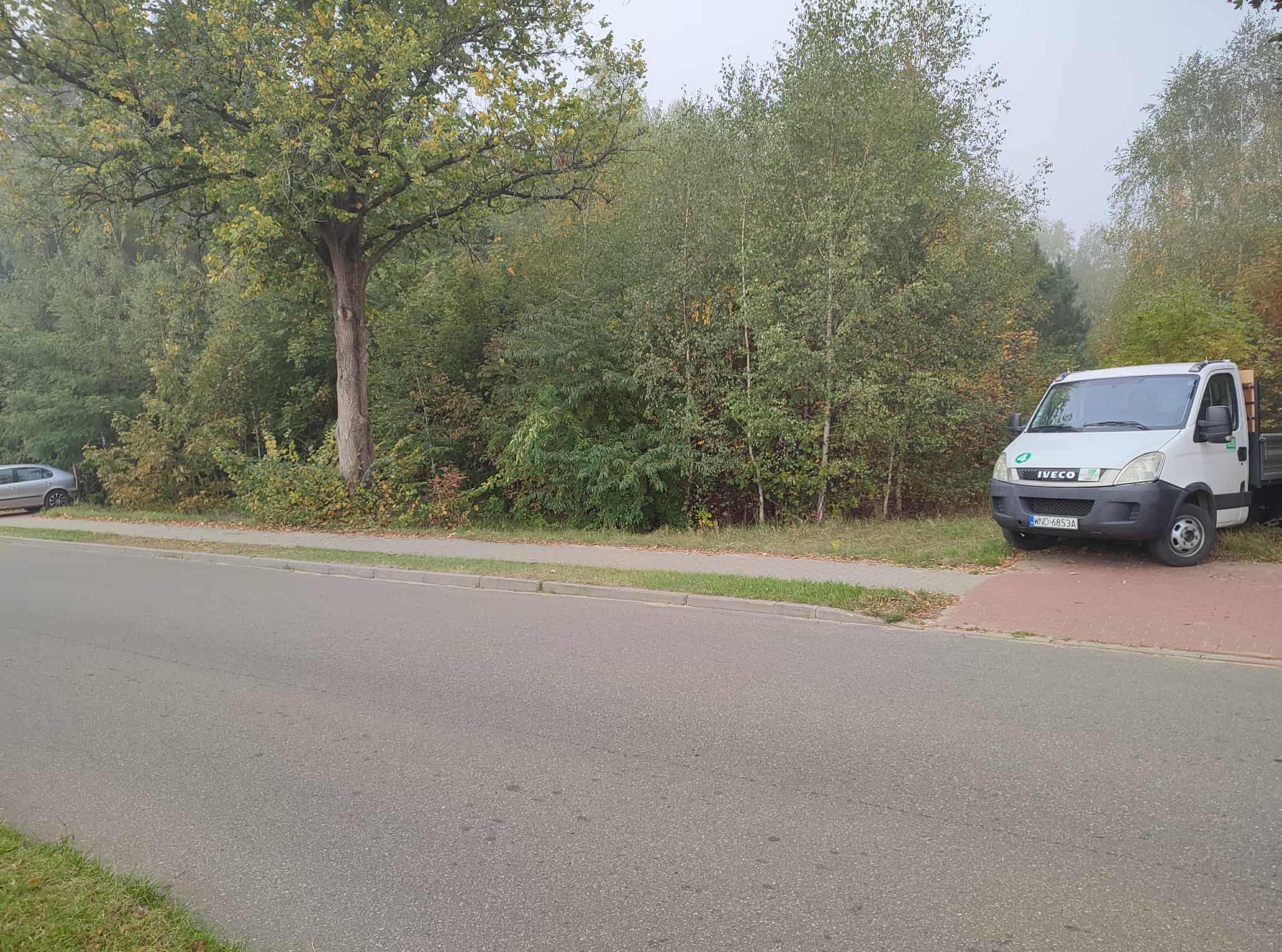 Krajobraz z drzewami i białym samochodem dostawczym Iveco zaparkowanym na poboczu drogi. W tle widoczny gęsty las i częściowo zaparkowany szary samochód osobowy.