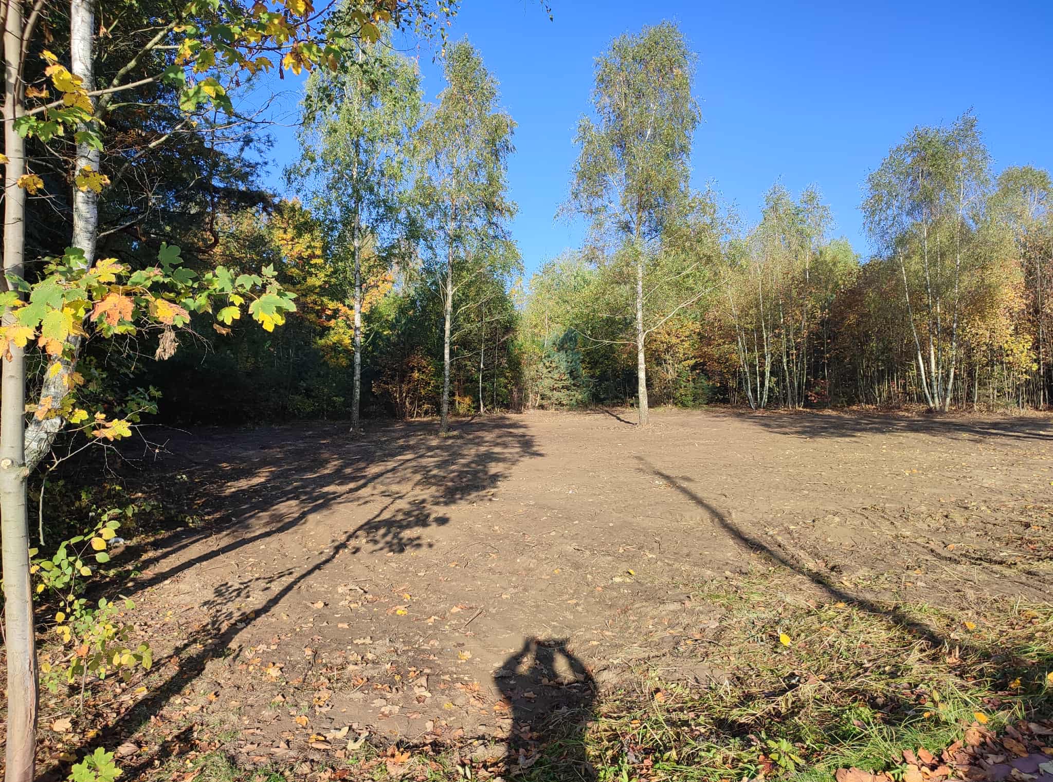 Przygotowany teren pod przyszły ogród, świeżo przekopana ziemia, widoczne drzewa i cień fotografa. Błękitne niebo w tle, jesienne liście w tle.