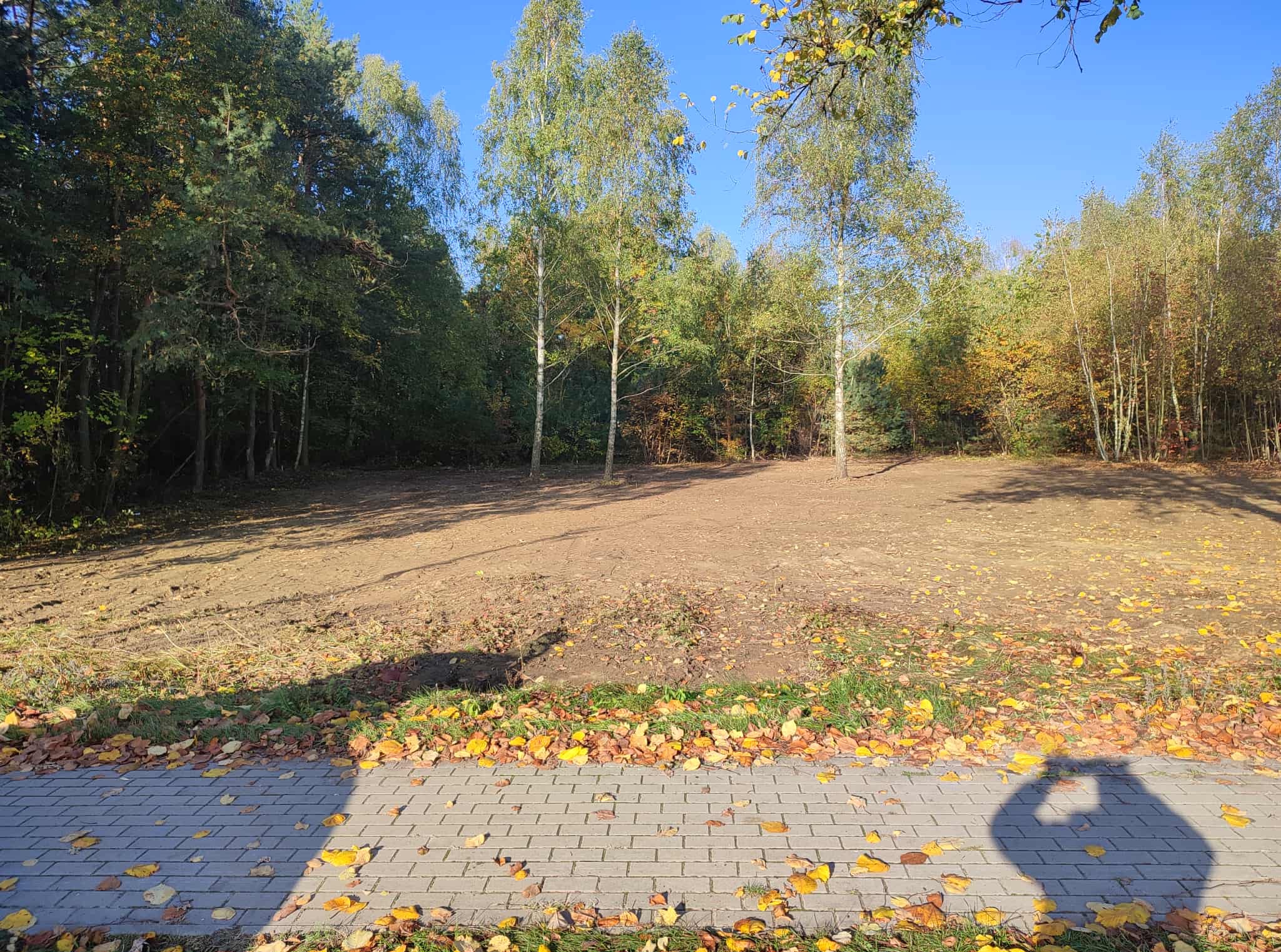 Przygotowany teren pod przyszły ogród, widoczne drzewa, ziemia i kostka brukowa z opadłymi liśćmi. Ślad cienia osoby robiącej zdjęcie.
