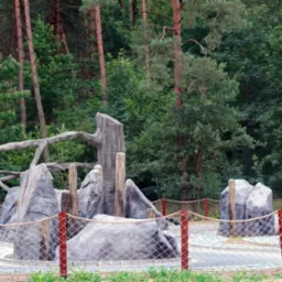 Aranżacja przestrzeni zewnętrznej z elementami imitującymi skały i drewno, otoczona siatką z lin, na tle zieleni drzew. Dekoracyjny element krajobrazu.