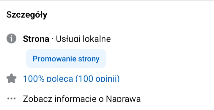 Szczegóły strony z usługami lokalnymi, rekomendacja 100% (100 opinii) i opcja promowania strony. Widoczne informacje o naprawie.