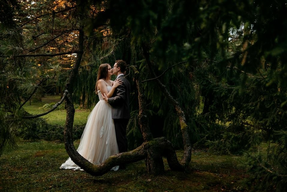 Para młoda w objęciach, w leśnej scenerii z unikalnym, zakrzywionym drzewem na pierwszym planie, w miękkim, naturalnym świetle.