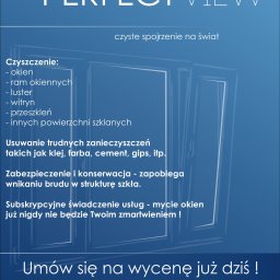 Sprzątanie Pluski 1