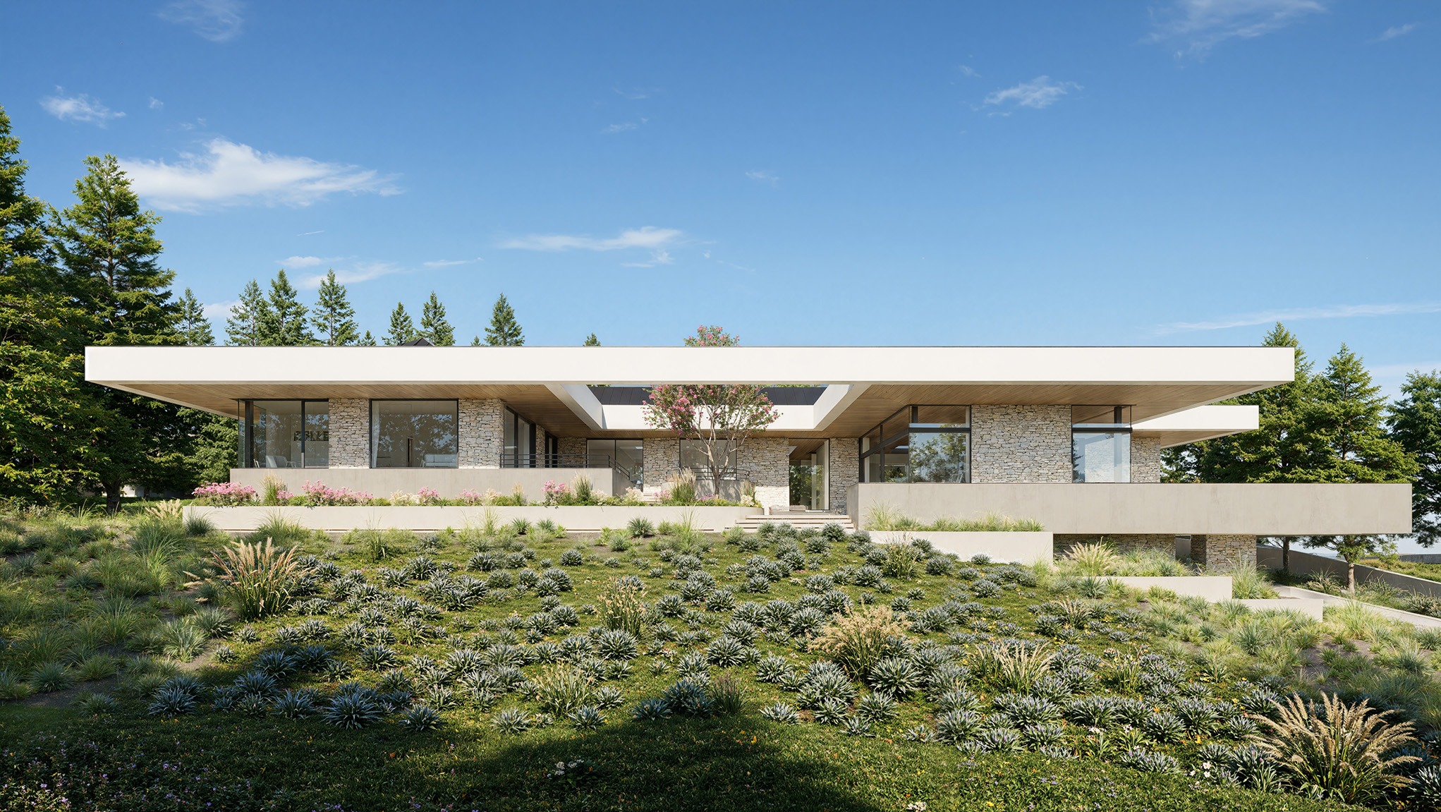 Nowoczesny dom jednorodzinny z kamienną elewacją i płaskim dachem, otoczony zielenią, widoczny z perspektywy ogrodu. Centralnie umieszczone drzewo w patio.
