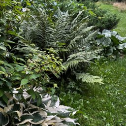 Projektowanie ogrodów Kraków 1