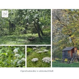 Marta Lorek Ogrody - Naturalistyczny ogród w bieli: kwitnące drzewa, leśny zakątek z ławką, detale białych kwiatów i drewniany domek na drzewie w słoneczny dzień.