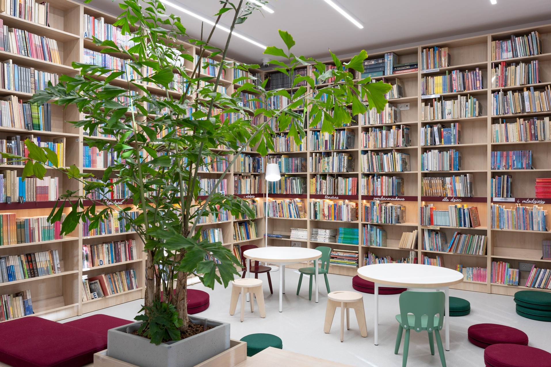 Jasne biuro biblioteki z regałami pełnymi książek, okrągłymi stolikami i zielonymi akcentami kolorystycznymi. Wnętrze doświetlone ledami, z rośliną doniczkową na pierwszym planie.