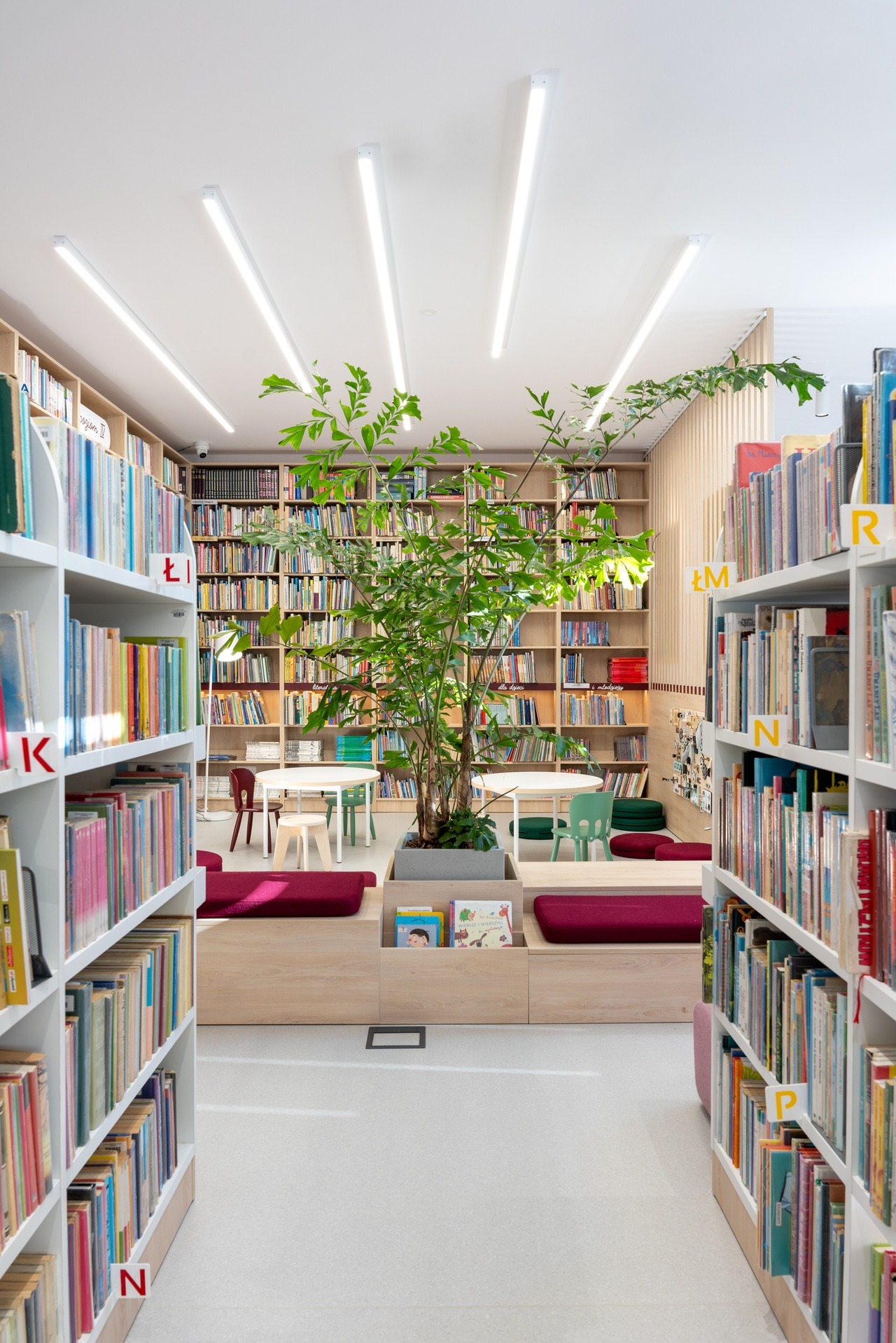 Jasne wnętrze biblioteki z regałami książek, drewnianymi siedziskami z bordowymi poduszkami i zielonymi roślinami w donicach. Minimalistyczne oświetlenie sufitowe.