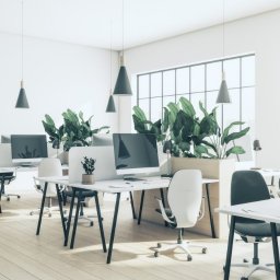 Sprzątanie biur Warszawa 2