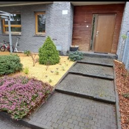 KAROL KOT - Ogród przed domem z krzewami, wrzosami i kamienną korą. Ścieżka z kostki brukowej prowadzi do wejścia. Metalowe ogrodzenie z młodymi drzewkami wzdłuż ścieżki.