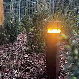 KAROL KOT - Najwyższej Klasy Odchwaszczanie Kraków