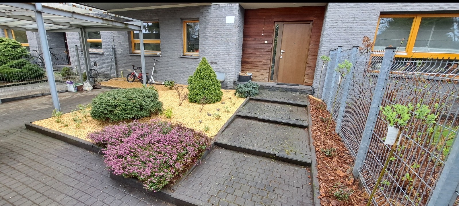 Ogród przed domem z krzewami, wrzosami i kamienną korą. Ścieżka z kostki brukowej prowadzi do wejścia. Metalowe ogrodzenie z młodymi drzewkami wzdłuż ścieżki.