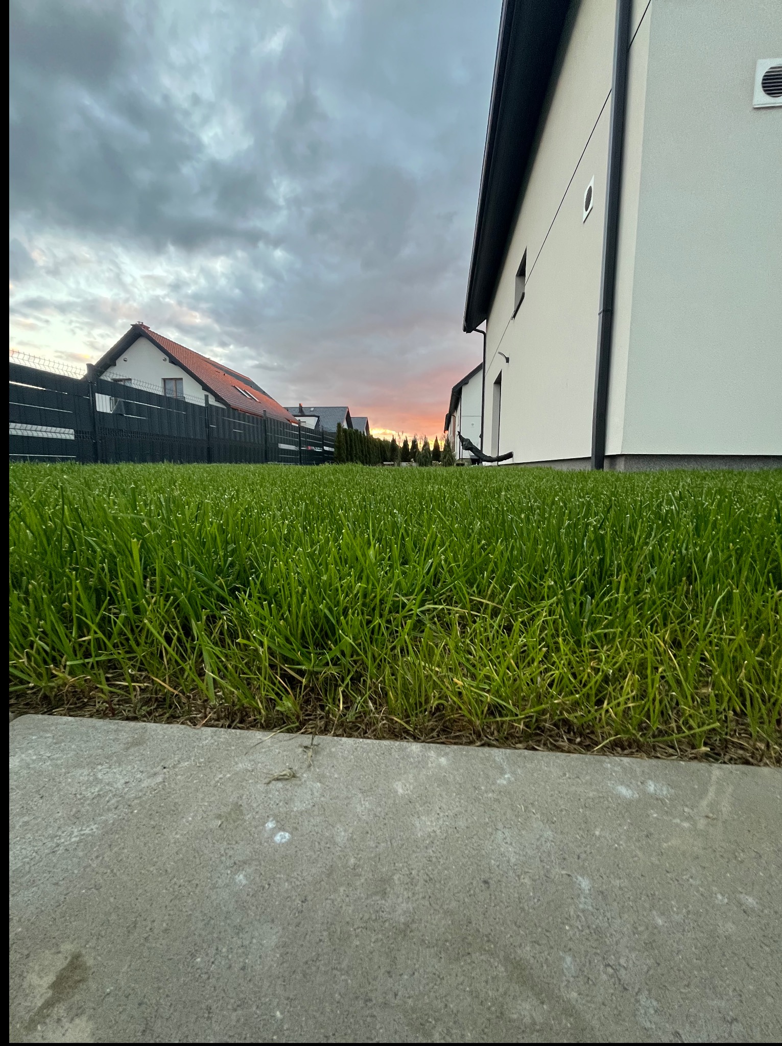 Z bliska: świeżo skoszony trawnik przed nowoczesnym domem w spokojnej okolicy, widok z poziomu gruntu, niebo o zachodzie słońca w tle.