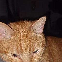 Kacper - Kafelkowanie Lubin