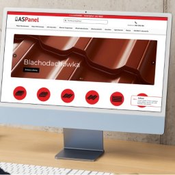 Strona internetowa dla aspanel.eu