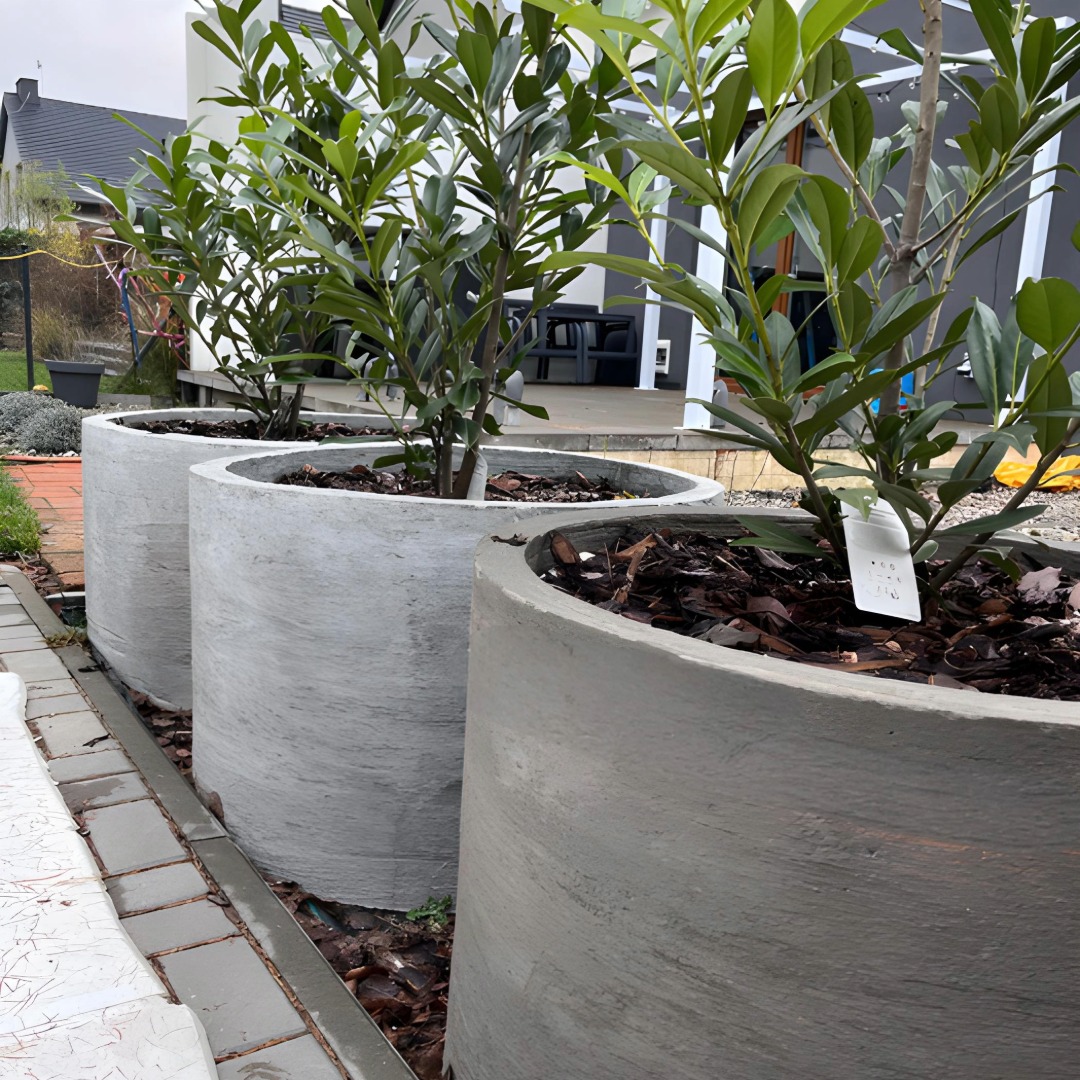 Trzy betonowe donice cylindryczne z roślinami na zewnątrz, ustawione w rzędzie wzdłuż ścieżki z kostki brukowej. Tło stanowi dom z elementami w kolorze szarym.