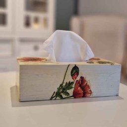 GABINET PSYCHOTERAPII I POMOCY PSYCHOLOGICZNEJ KATARZYNA STADEJEK - Pudełko na chusteczki z motywem czerwonego maku na białym stoliku w gabinecie. W tle regał z książkami i fotel. Przytulne wnętrze poradni.