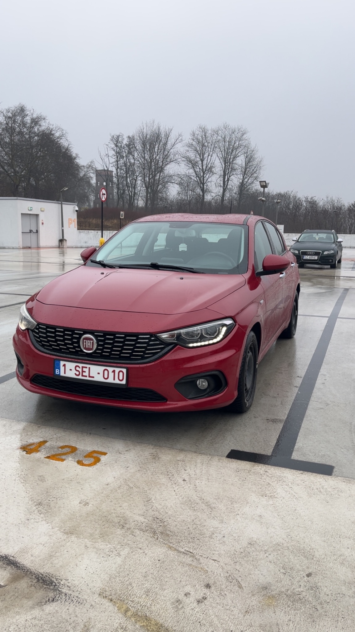 Przewóz osób samochodem marki Fiat.