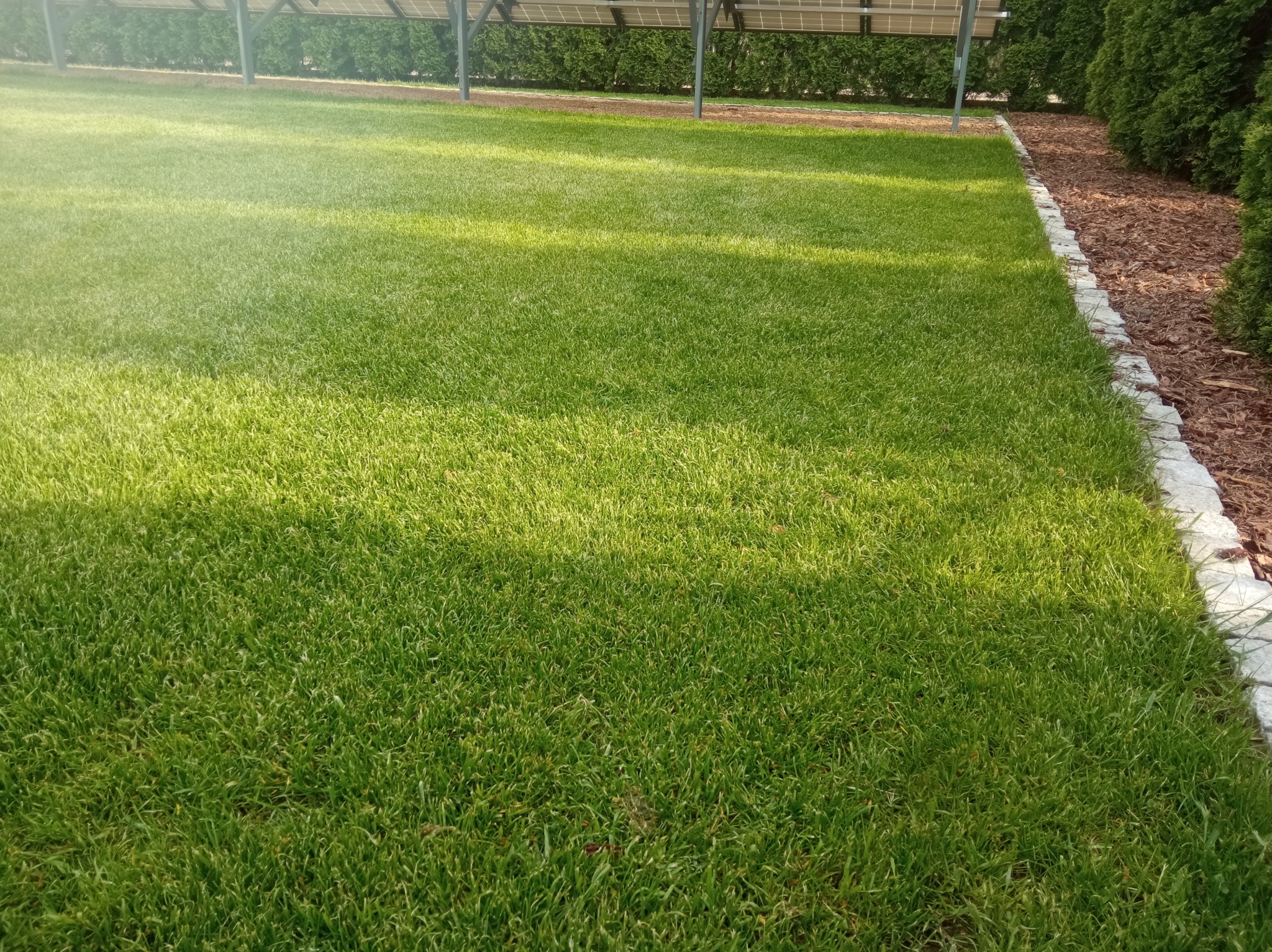 Wszystkie zdjęcia z realizacji moich prac.