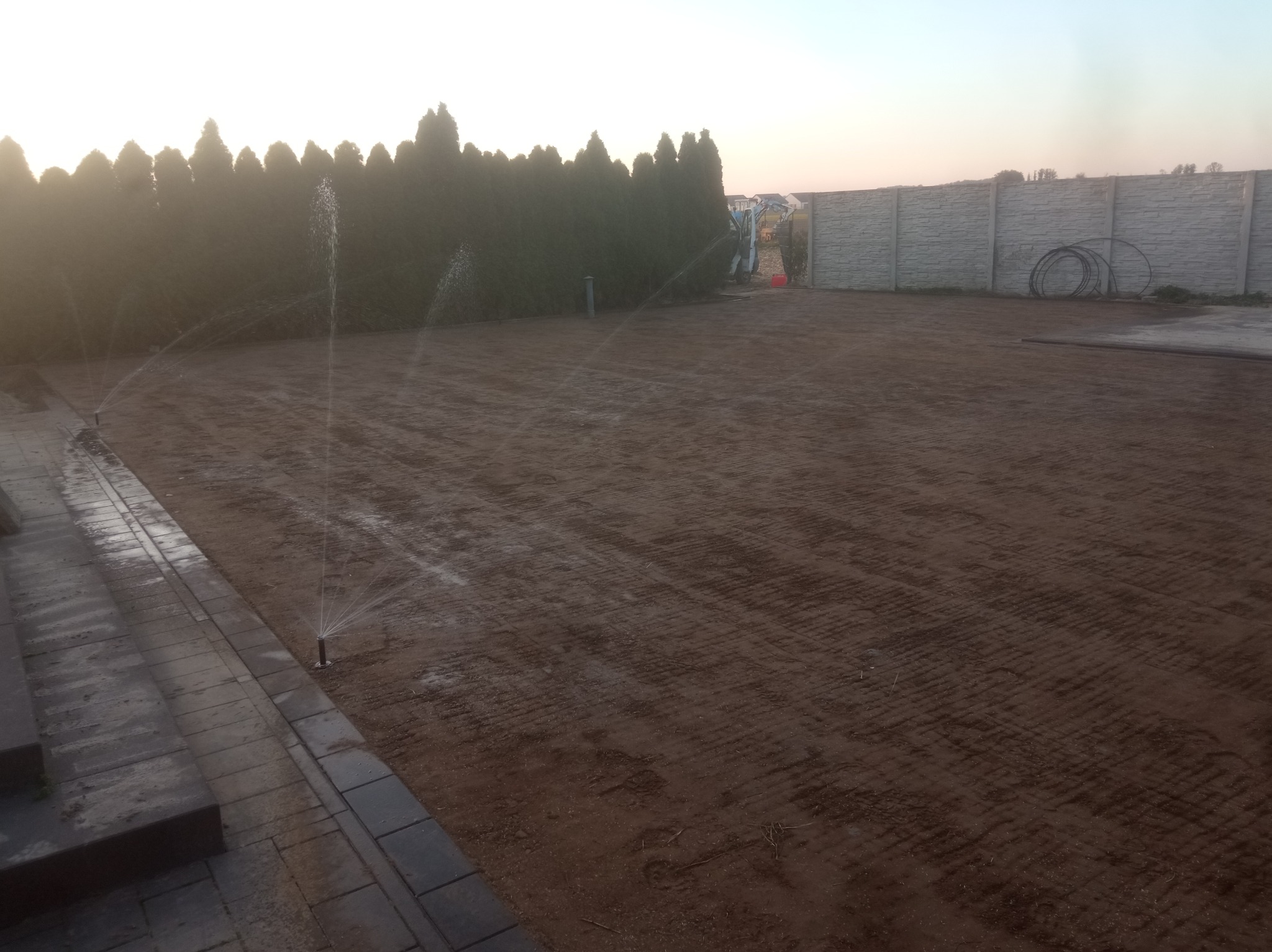 Instalacja nawadniania w ogrodzie: zraszacze w akcji na przygotowanym podłożu, w tle rząd tuj i betonowe ogrodzenie. Widoczne ślady po niwelacji terenu.