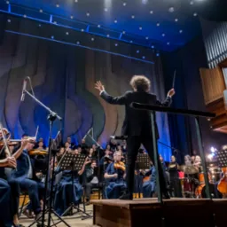 Orkiestra symfoniczna z dyrygentem na scenie koncertowej, w tle organy piszczałkowe. W pierwszym planie skrzypce i kontrabasy, oświetlenie sceniczne.