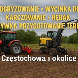 Wycinka drzew Częstochowa 1
