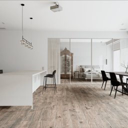 Projektowanie mieszkania Węgierska Górka 4