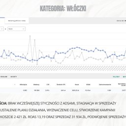 Michał Haberla - Wykres ROAS i kosztów kampanii reklamowej dla kategorii 'Włóczki' w okresie kwiecień-maj 2025, prezentujący wzrost sprzedaży po wdrożeniu planu działania.
