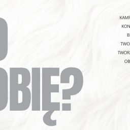 Reklama internetowa Chorzów 4