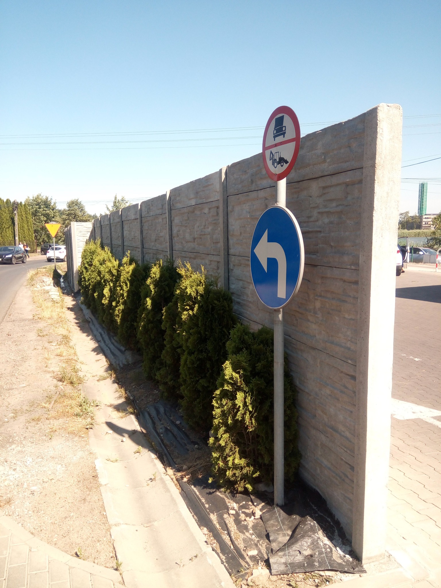 Długi, betonowy płot z fakturą kamienia, obsadzony tujami, z dwoma znakami drogowymi na słupku. Słoneczny dzień, błękitne niebo.