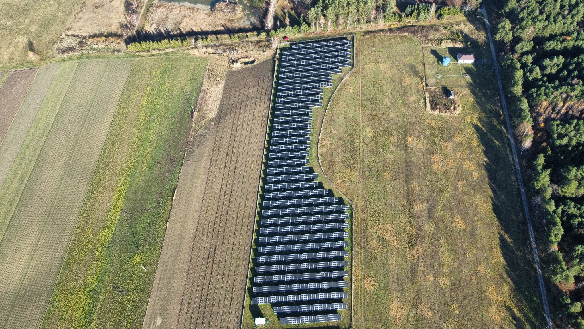 Widok z lotu ptaka na rozległą farmę fotowoltaiczną, otoczoną polami uprawnymi i lasem, z budynkami w tle. Panele ułożone rzędami, tworzą geometryczny wzór na zielonym terenie.