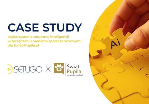 Grafika case study: wykorzystanie AI w social mediach dla Swiat-Pupila.pl. Układanka z napisem 'Ai' w dłoni, logotypy Setugo i Swiat-Pupila.pl.
