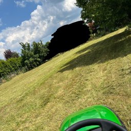 Przycinanie drzew Drużbice 3