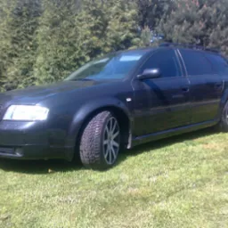 Ciemny samochód kombi marki Audi, zaparkowany na trawniku przed żywopłotem, widoczny z boku i przodu, z numerem rejestracyjnym na przednim zderzaku.