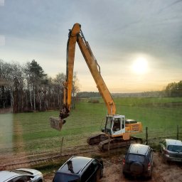 USŁUGI TRANSPORTOWE PIOTR GOLAŃSKI - Staranna Pielęgnacja Drzew Gostyń