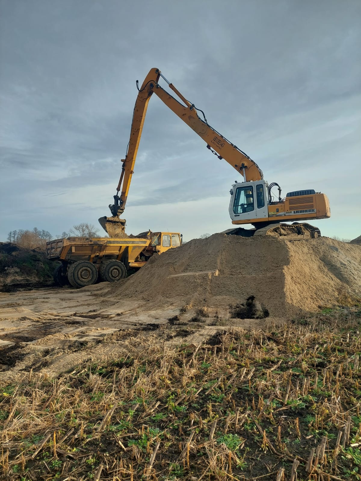 Żółta koparka Liebherr nabiera ziemię z hałdy i wsypuje ją do wywrotki. W tle widoczne pole i błękitne niebo z chmurami.