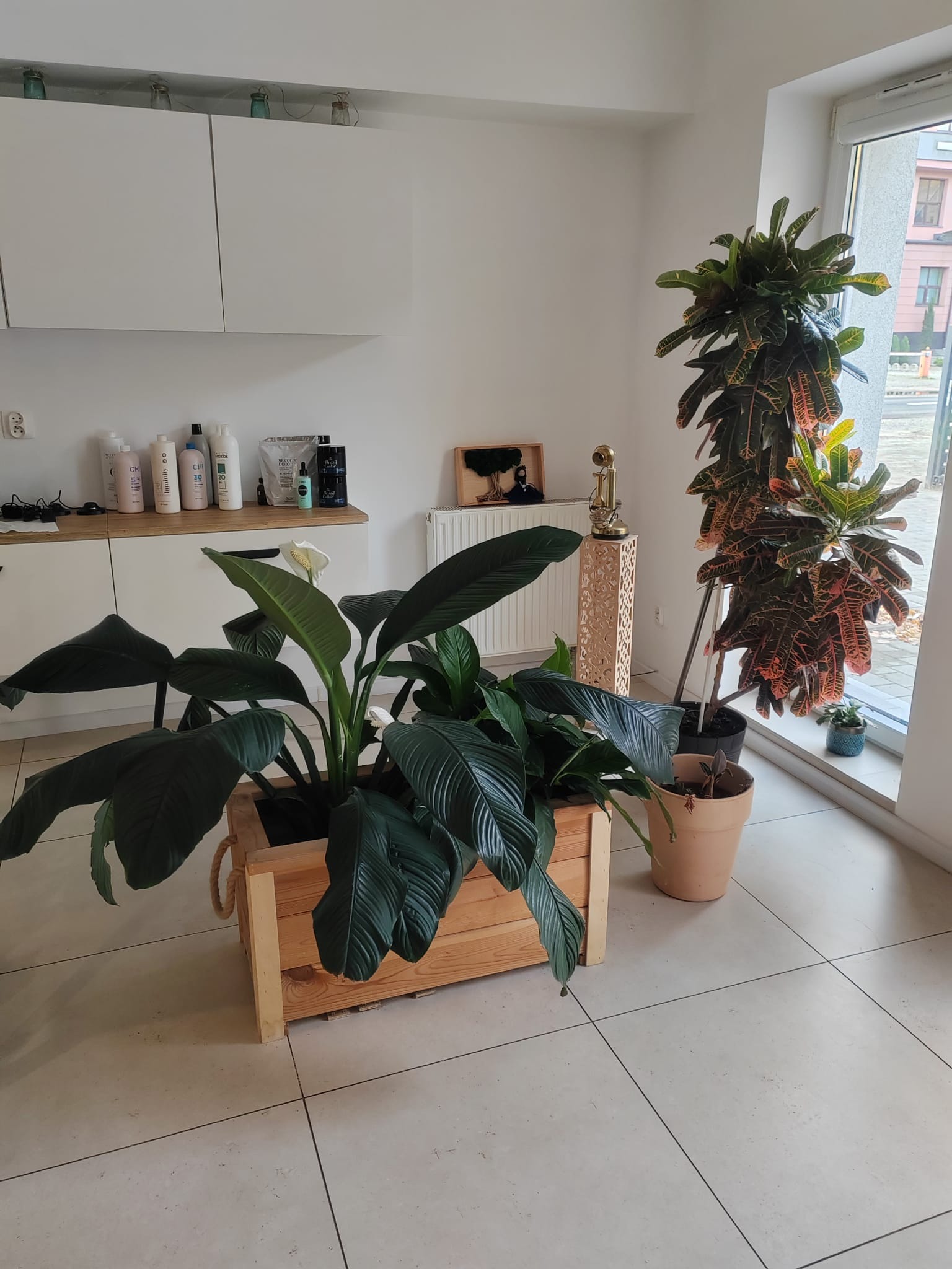 Jasne wnętrze salonu fryzjerskiego z roślinami doniczkowymi w drewnianych osłonkach, kosmetykami na półce i dekoracyjnym stolikiem. Stonowana kolorystyka, naturalne światło.